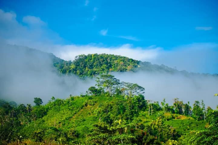 Sinharaja Riverside Deniyaya Luaran gambar
