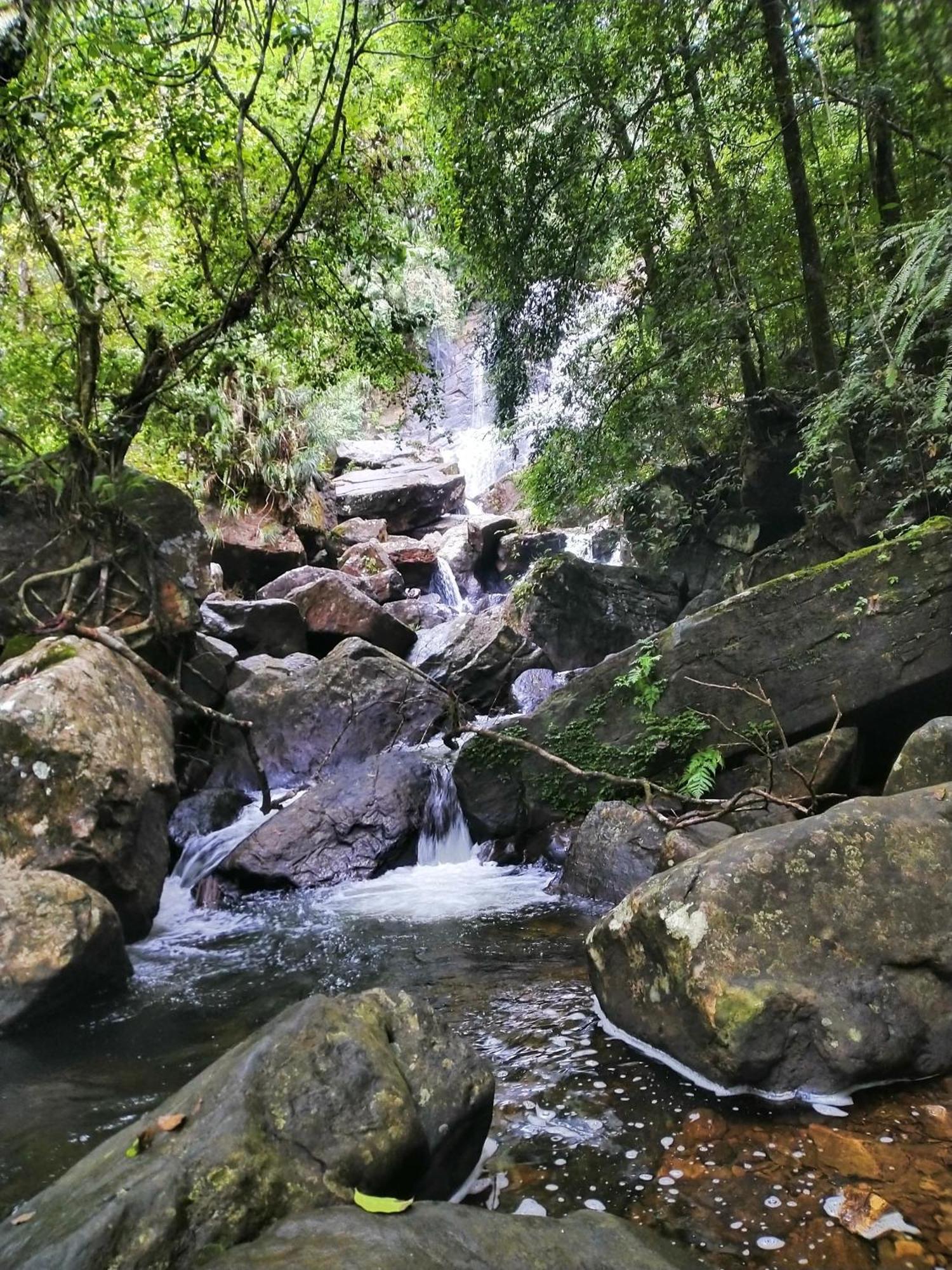 Sinharaja Riverside Deniyaya Luaran gambar