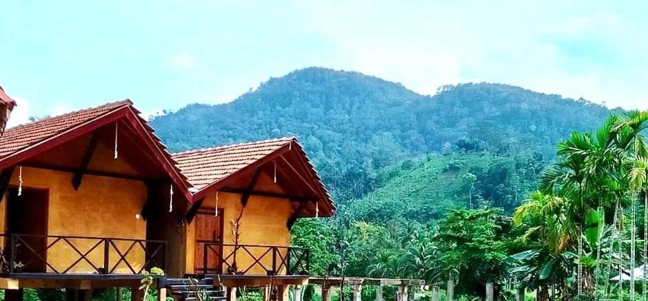 Sinharaja Riverside Deniyaya Bilik gambar